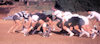 Image1